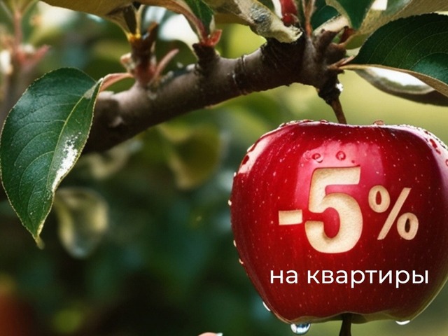 5% скидка